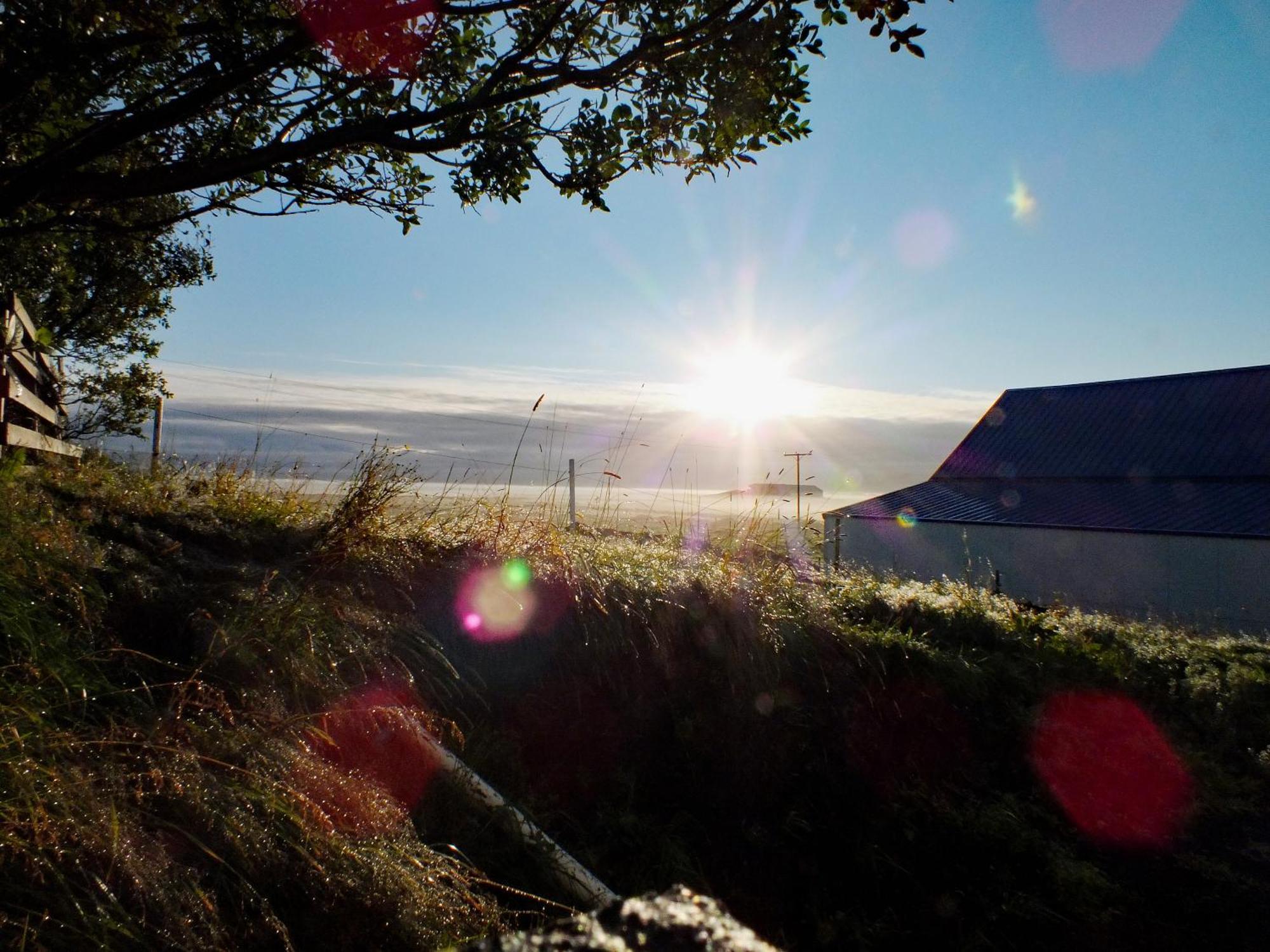 Skidbakki Guesthouse Kross Bagian luar foto